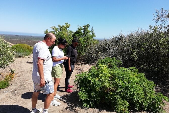 Safari Cycle and !Khwa Ttu San Heritage Experience - Common Questions