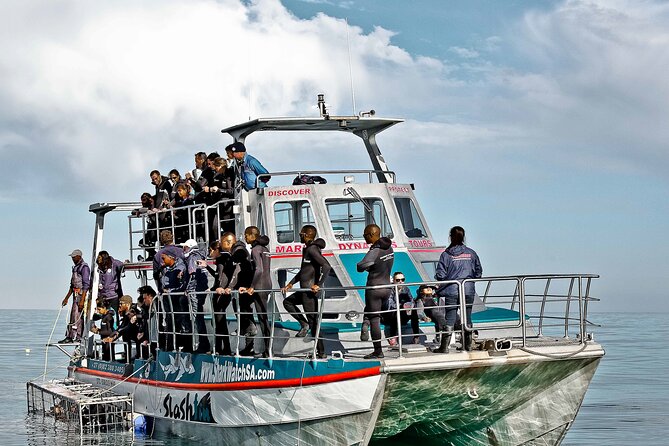Shark Cage Diving and Viewing With Transport From Cape Town - Boat Amenities and Refreshments