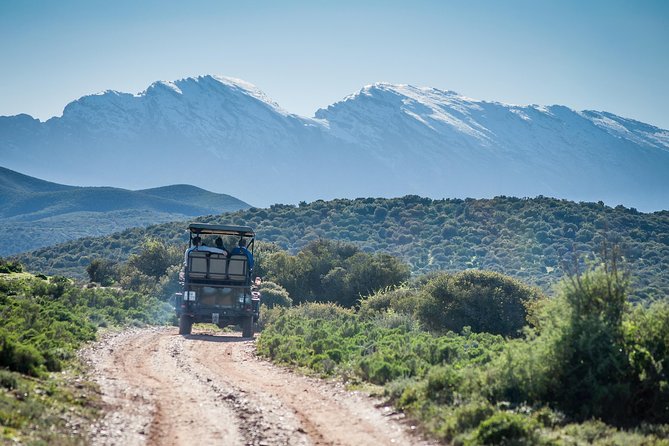 South African Bush Safari in Oudtshoorn  - Western Cape - The Sum Up
