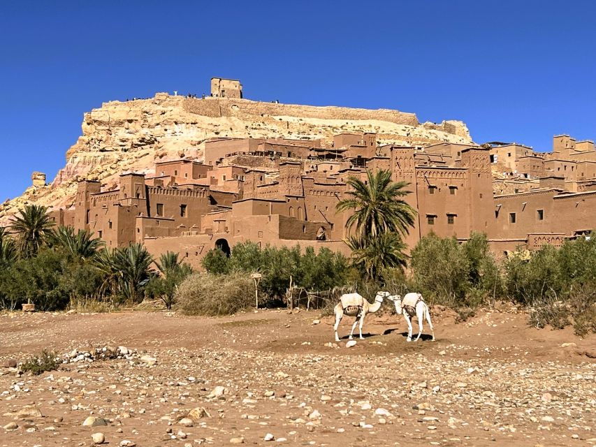 9 Days Tour From Tangier to Marrakech