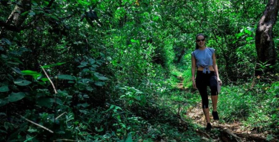 A 7-Day Nature and Wildlife Exploring - Good To Know