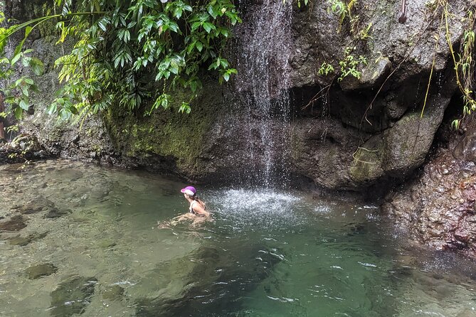 A Day of Relaxation in the Jungle and Waterfalls of Dominica