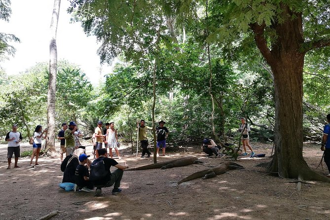 A Day to Komodo Island - Good To Know