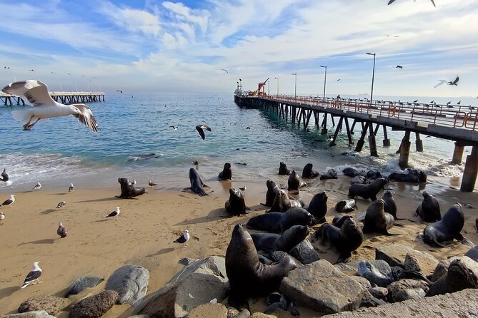 A Private Tour of Valparaiso With an Experienced Local Guide.