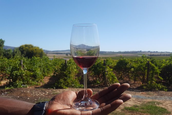 A Visit To Stellenbosch Franschoek Paarl Wineries From Cape Town Full Day - Good To Know
