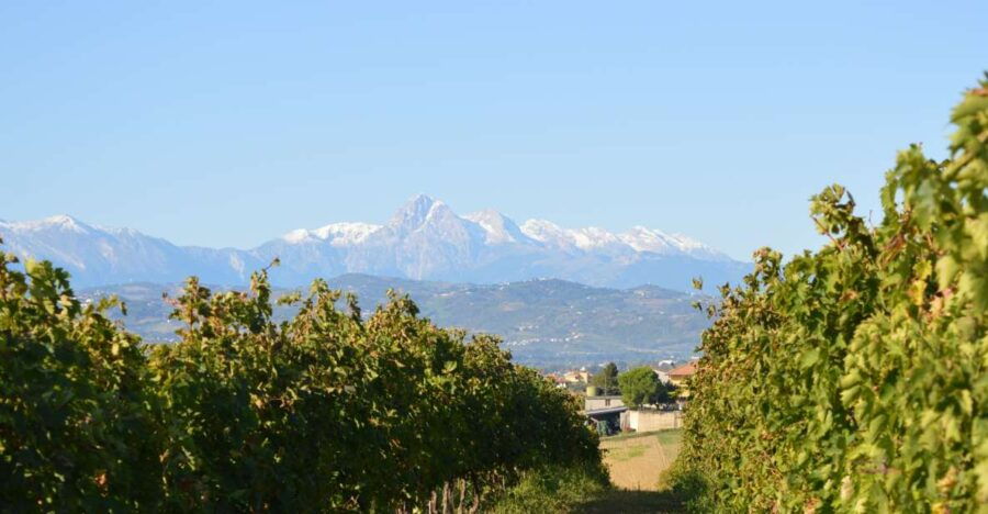 Abruzzo: Historic Cellar Wine Tour and Tasting