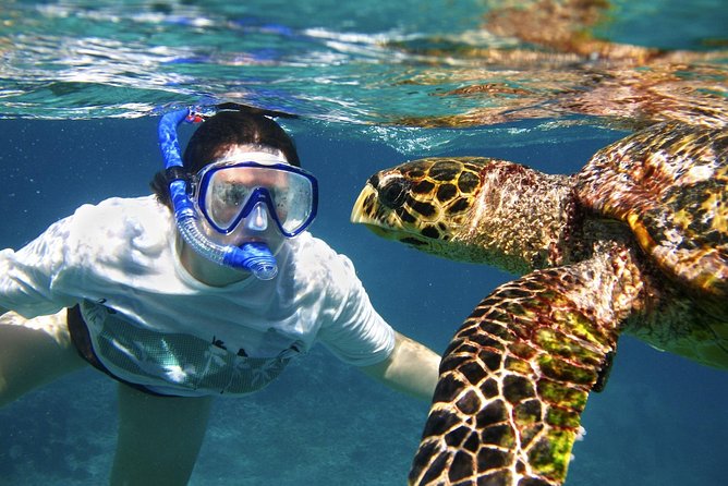Abu Dabab Swim With Turtles - Good To Know