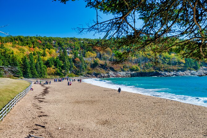 Acadias Ocean Path Self-Guided Walking Audio Tour - Good To Know