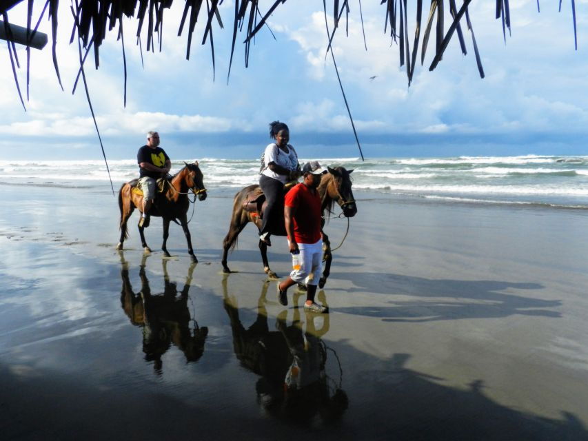 Acapulco: Gentle Beach Horse Riding Tour on Barra Vieja - Good To Know