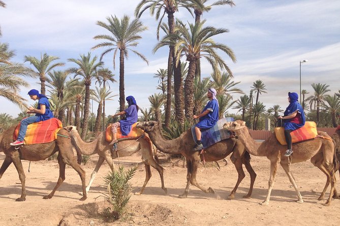 Activities in Marrakech Camel Ride Tour in Palm Grove - Good To Know