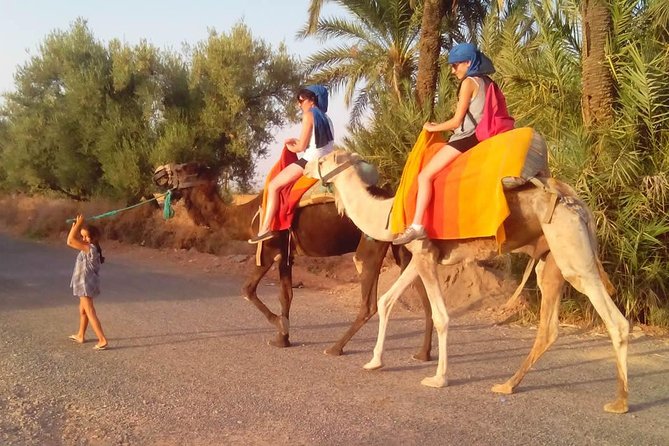 Activities in Marrakech: Camel Ride Tour - Good To Know