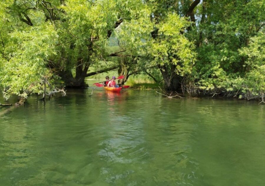 Adda River: Half Day Kayak Trip - Good To Know