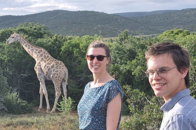 Addo Elephant Park & Giraffe Walk Private Full-Day Safari - Good To Know