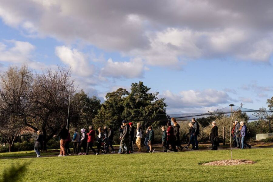 Adelaide: Adelaide CBD Private Guided Walking Cultural Tour - Good To Know