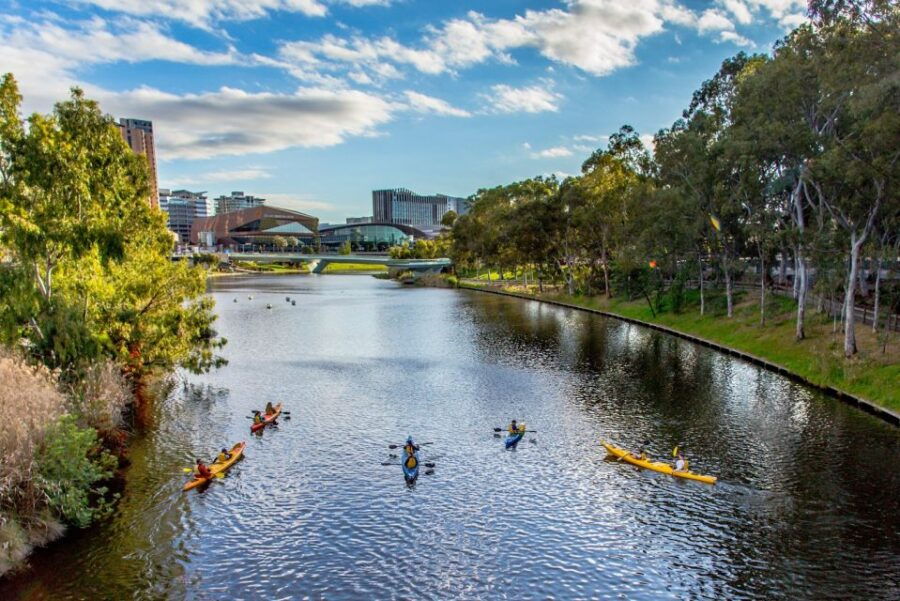 Adelaide: City Kayaking Experience - Good To Know