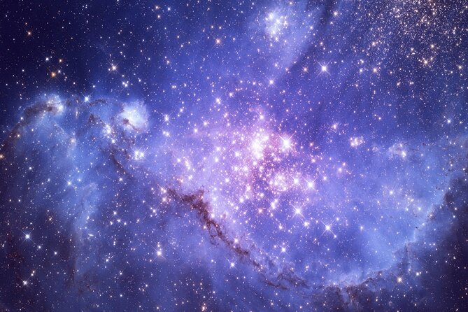 Admission to Kennedy Space Center With Transportation From Miami - Hassle-Free Round-Trip Transportation From Miami