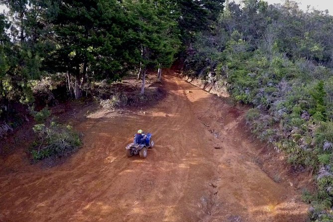 Adrenaline-Filled Medellin Tour: ATV and Guatapé Adventure - Good To Know