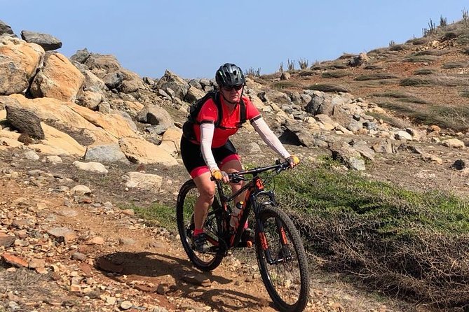 Advanced and Extreme Customized Mountain Bike Around the Island 75km - Tour Overview