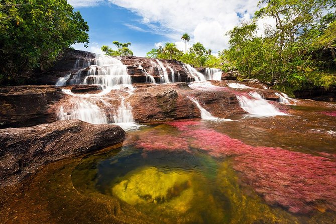 Adventure Awaits: Bogota to Cano Cristales Tour