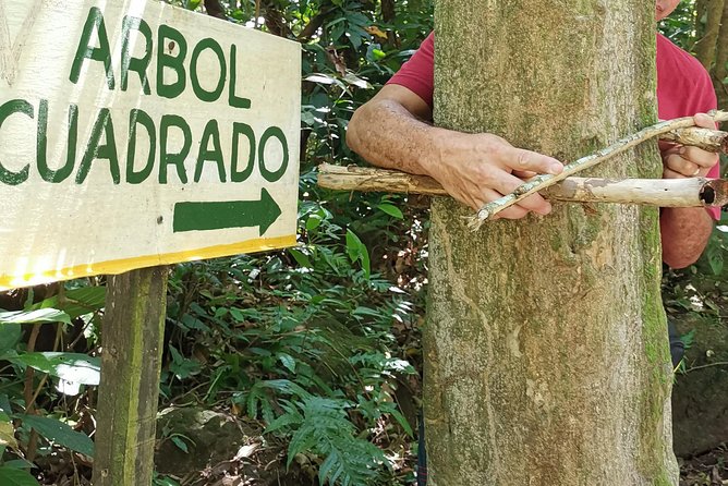 Adventure Awaits in El Valle De Anton