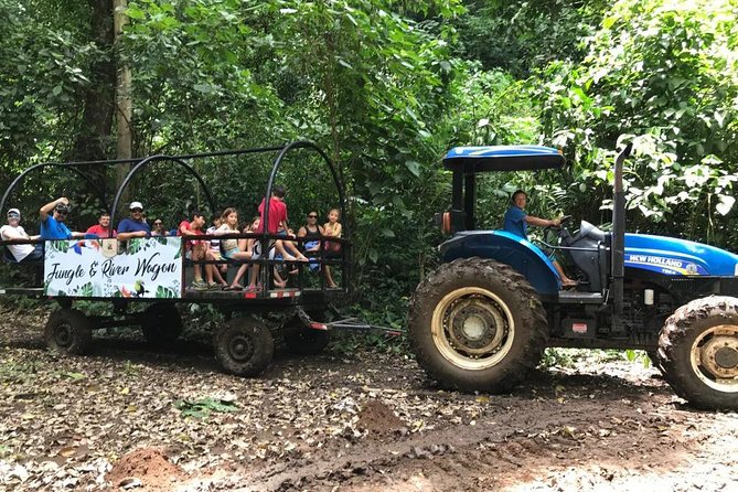 Adventure Awaits: Jungle and River Expedition