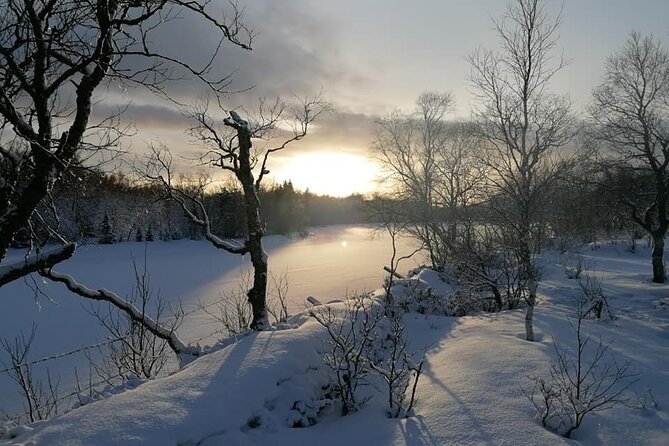 Adventure Experience With Northern Lights Safari