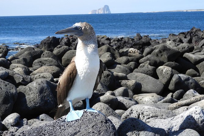 Adventure Sports Tour: Explore Galapagos Islands Thrills