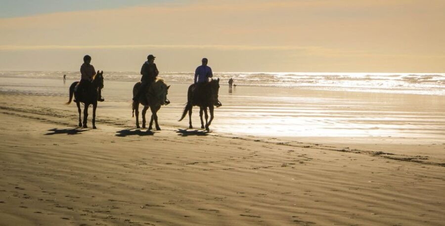 *Afro-Mex Village Horse Ride, Turtle Release Crocodile Farm - Good To Know