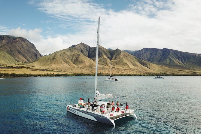 Afternoon Sail With the Whales From Maalaea Harbor - Good To Know