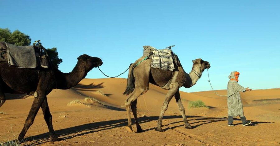 Agadir: 44 Jeep Desert Safari With Lunch Tajin & Couscous