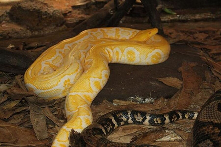 Agadir: Agadir City Tour - Half Day and Crocodile Park - Good To Know