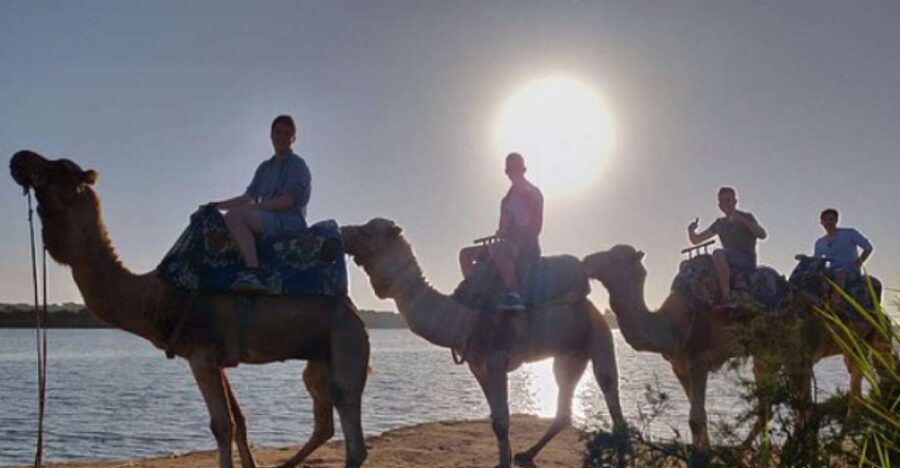 Agadir Camel Ride Flamingo River & Couscous With BBQ Dinner
