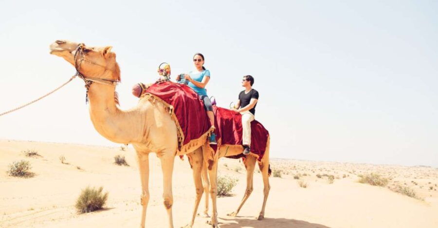 Agadir: Camel Ride With Tea