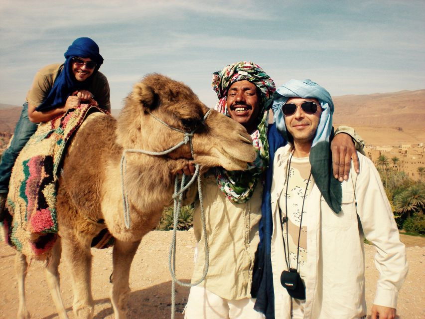 Agadir: Camel Riding Adventure With Authentic Moroccan Lunch