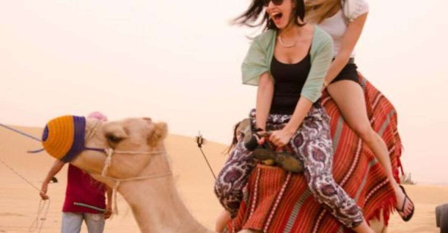 Agadir Camel Riding Tours