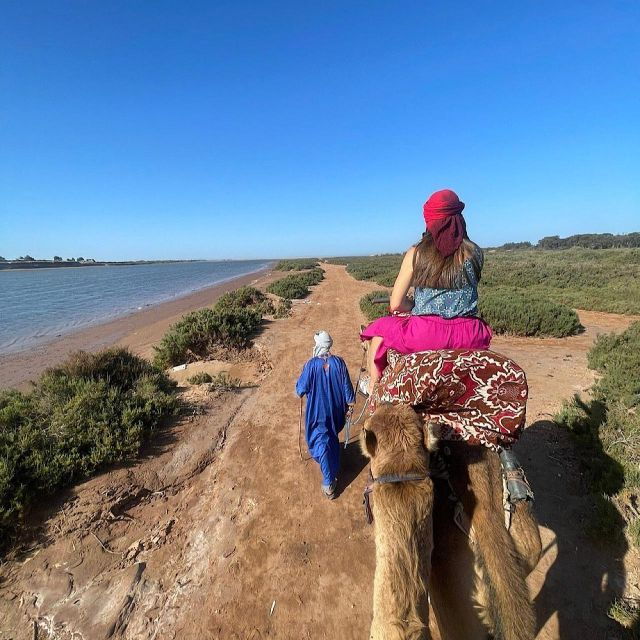 Agadir Camel Riding With Old Medina Tiket & Tea Drink