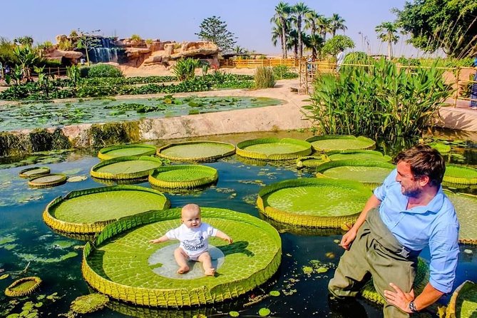 Agadir Croco Park Transport & Admission Ticket - What to Expect at Agadir Croco Park