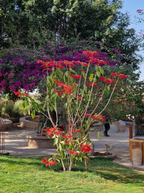 Agadir Crocoparc: Ticket and Transfer - Good To Know