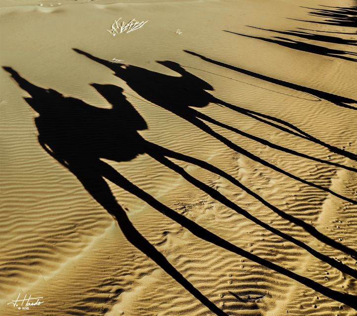 Agadir: Flamingo River Camel Ride With Optional BBQ Dinner