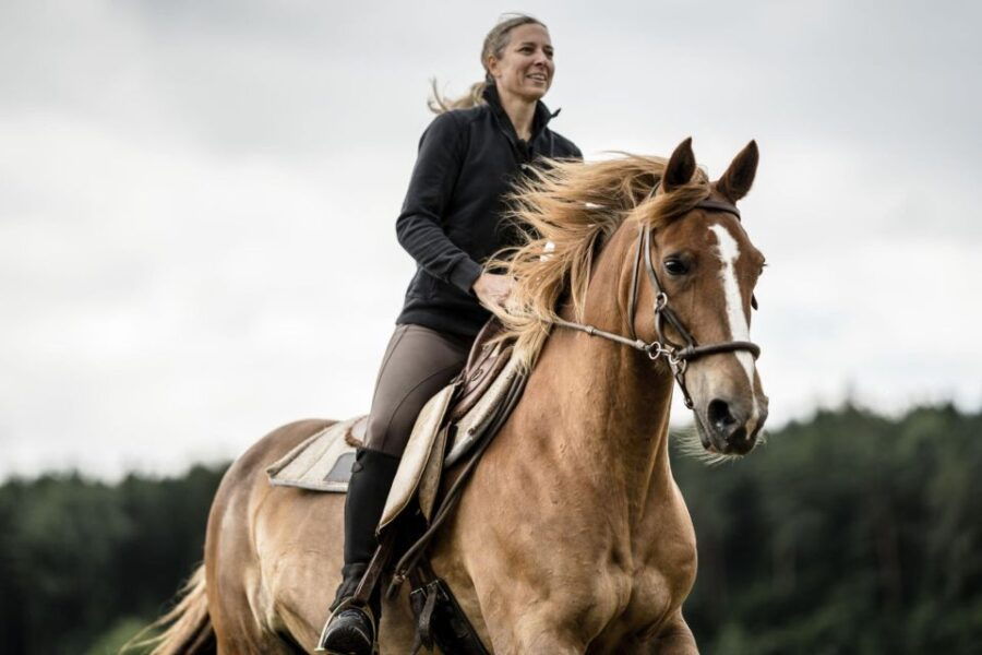 Agadir: Forest and Sand Dunes Guided Horse Riding Tour