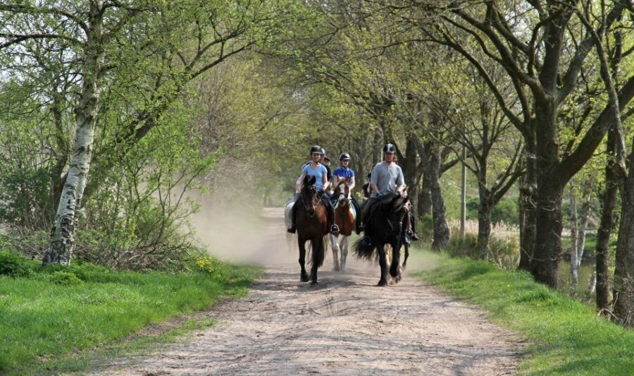 Agadir: Horse Ride Along the Souss River With Birdwatching