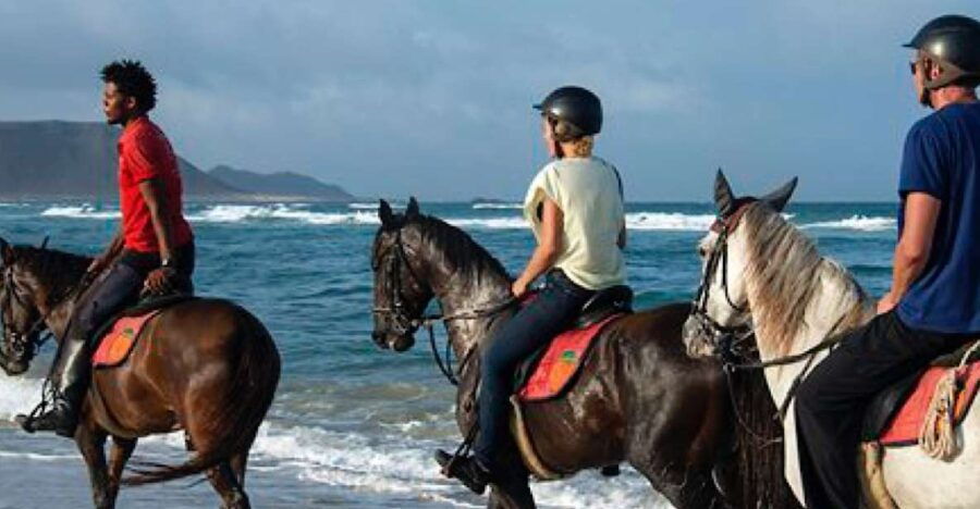 Agadir Horse Riding Visite the Flamingo River With Tea Drink