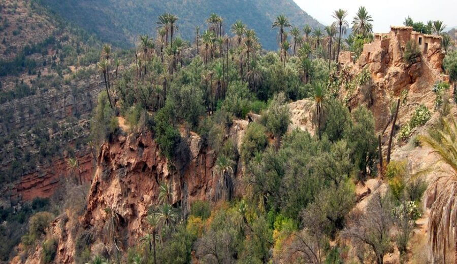 Agadir: Imouzzer Waterfalls Daytrip Including Lunch - Activity Details