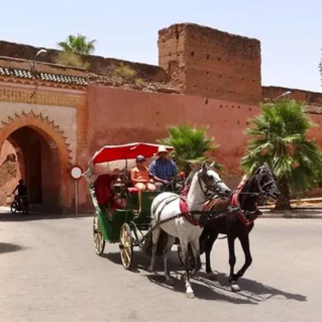 Agadir: Marrakech Day Trips With Professional Guide - Booking Details