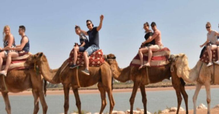 Agadir Morocco – Camel Riding Tours With Tea