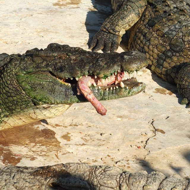 Agadir or Taghazout Cable Car Descover the Old Agadir - Good To Know