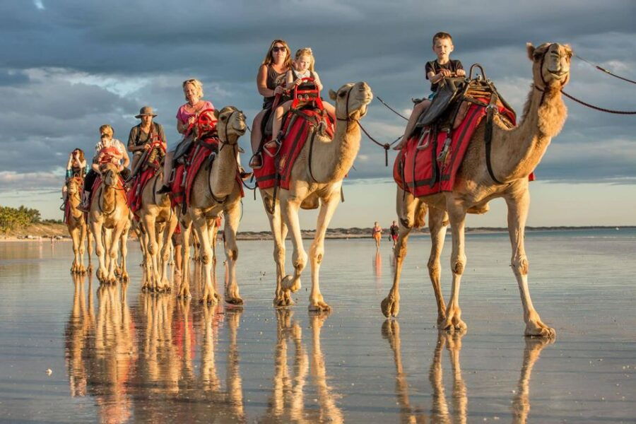Agadir or Taghazout: Camel Ride Experience in River or Beach