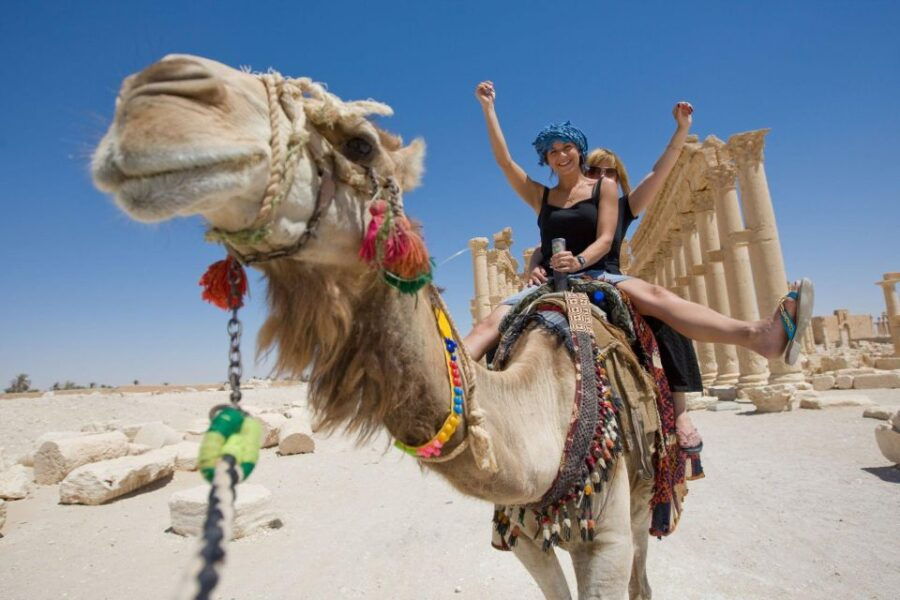 Agadir or Taghazout: Camel Riding and Flamingo River Tour