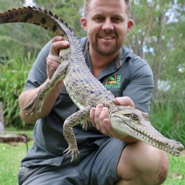 Agadir or Taghazout: Crocodile Park With Entry Ticket