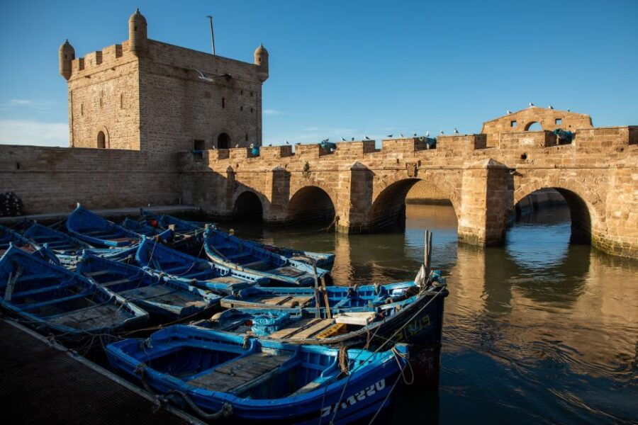 Agadir or Taghazout: Essaouira Guided Day Trip